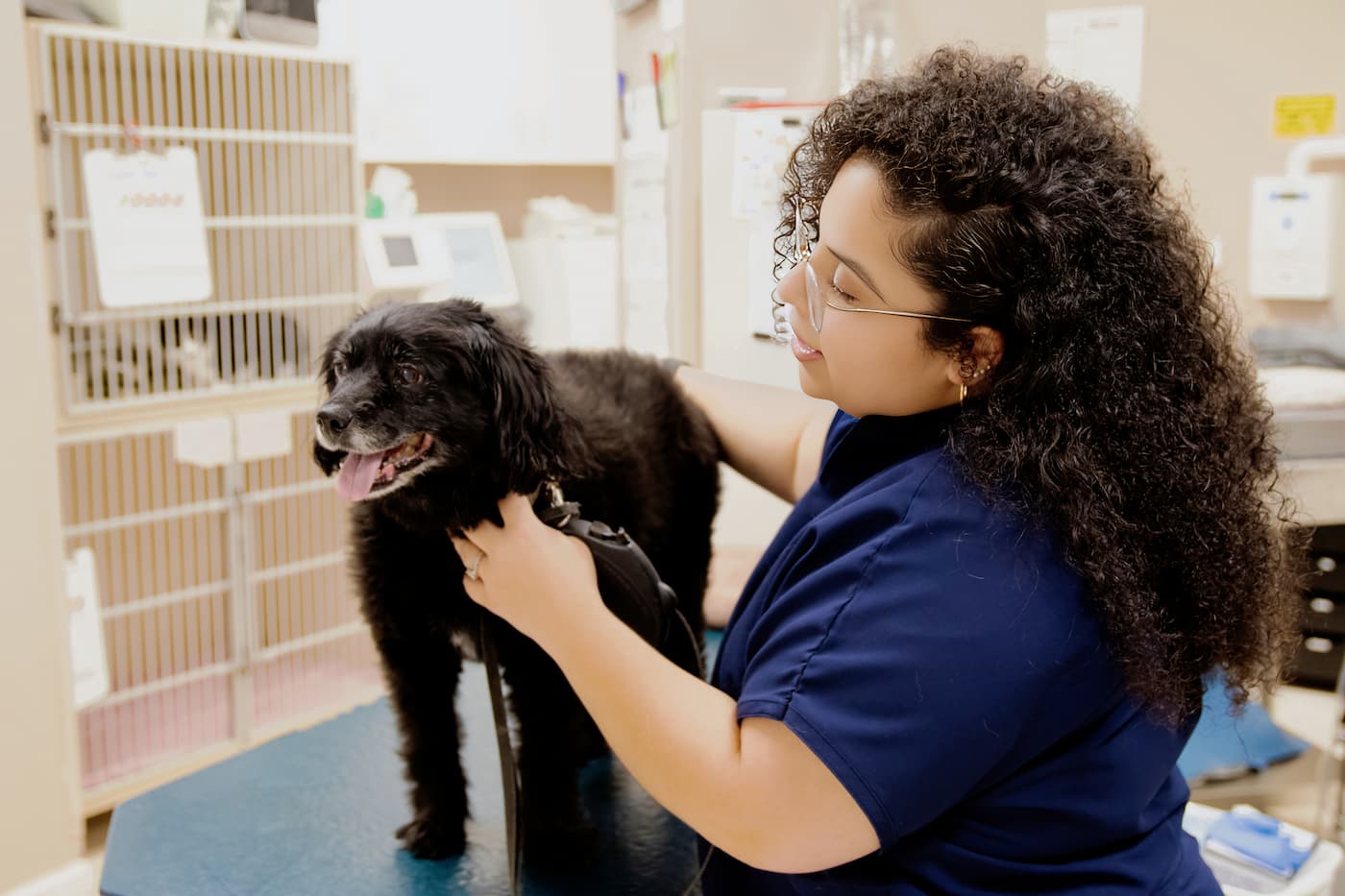 Dental Services Image